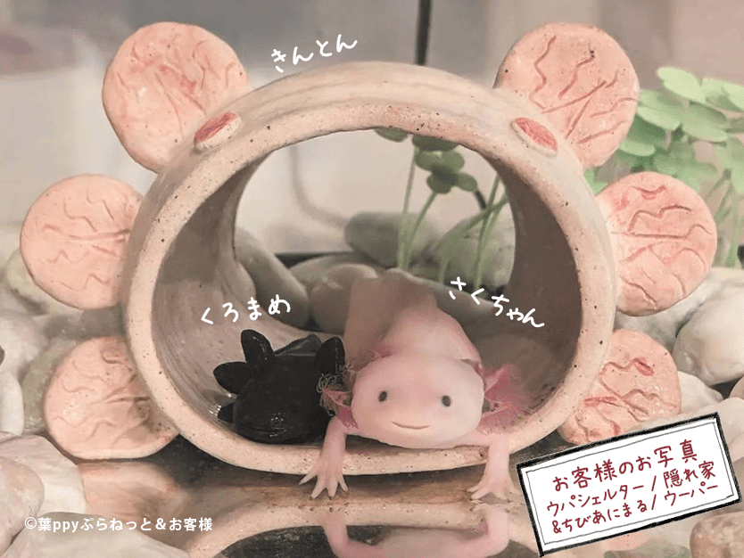 ウパシェルター 土管、隠れ家、タコツボに!